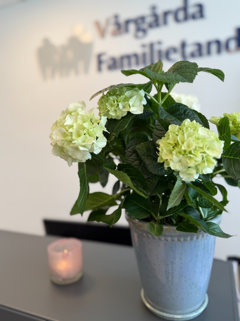 Blommor i kliniken hos Vårgårda Familjetandvård